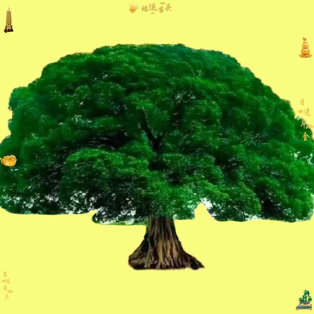 xyz