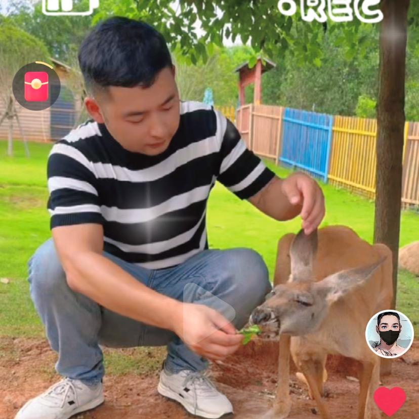 青春不留白