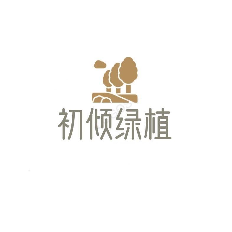 初倾绿植