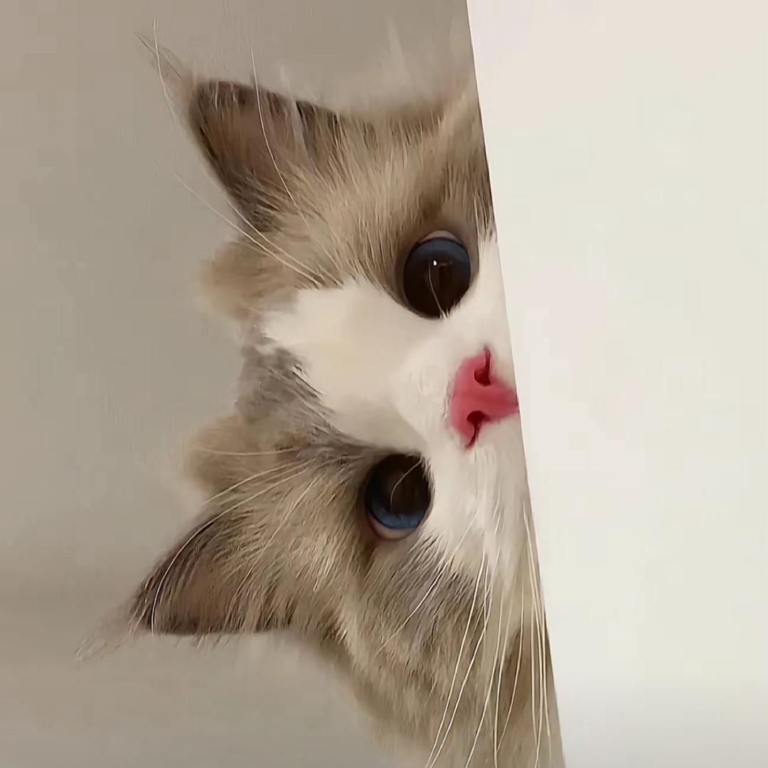 🎧莓有烦恼💮