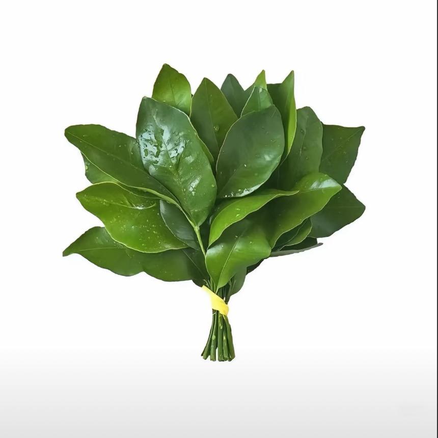 Cc