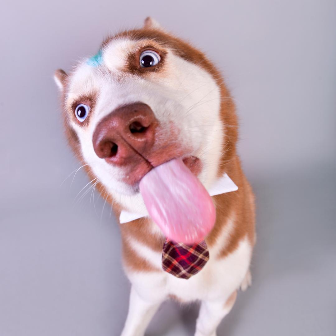 绝望的充电器@抖音