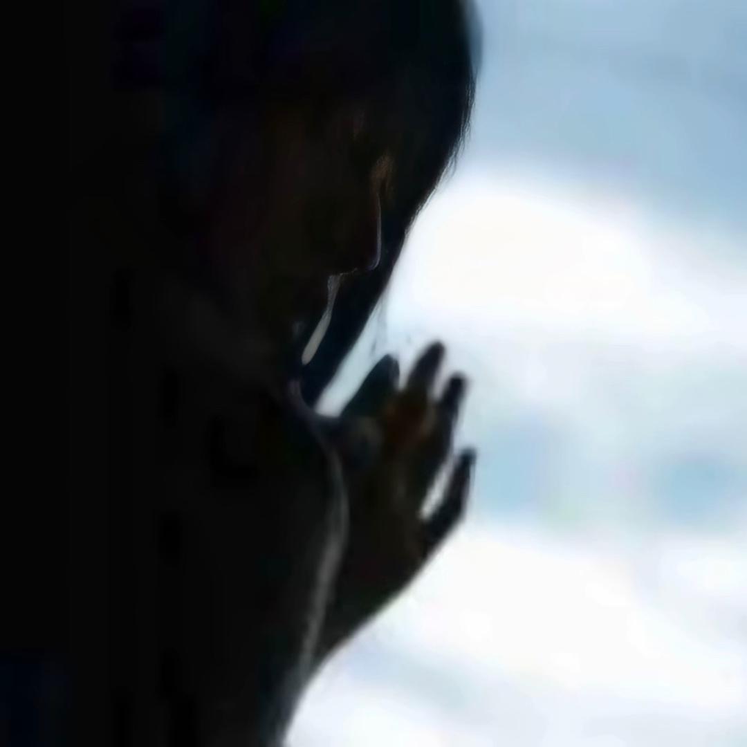 ︌︌︌︌︌︌ㅤ︍ㅤㅤ︍    ㅤ