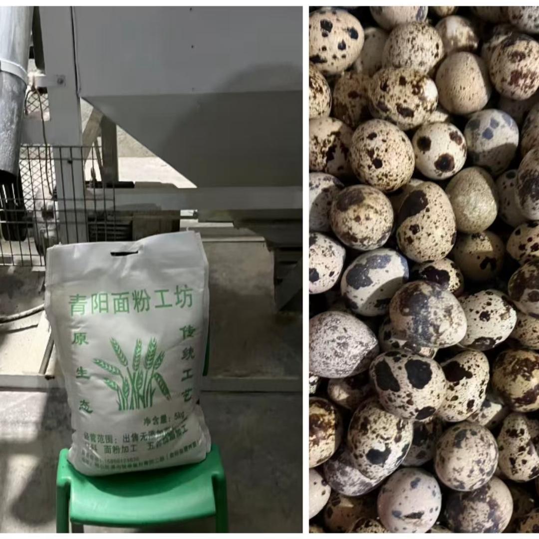 😜😜=小燕子(๑•̀ㅂ•́