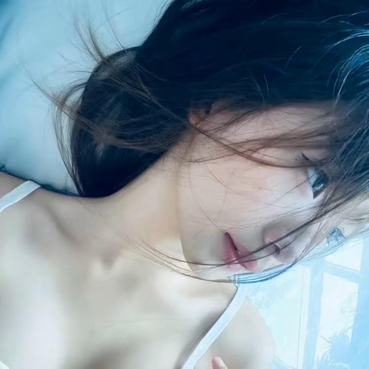 纯情暴龙
