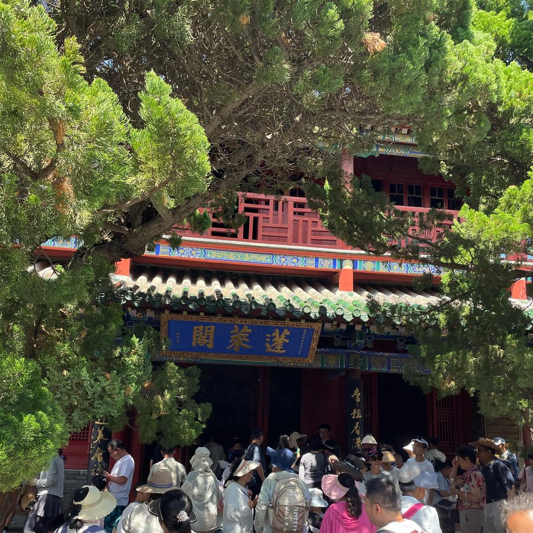 西瓜西瓜