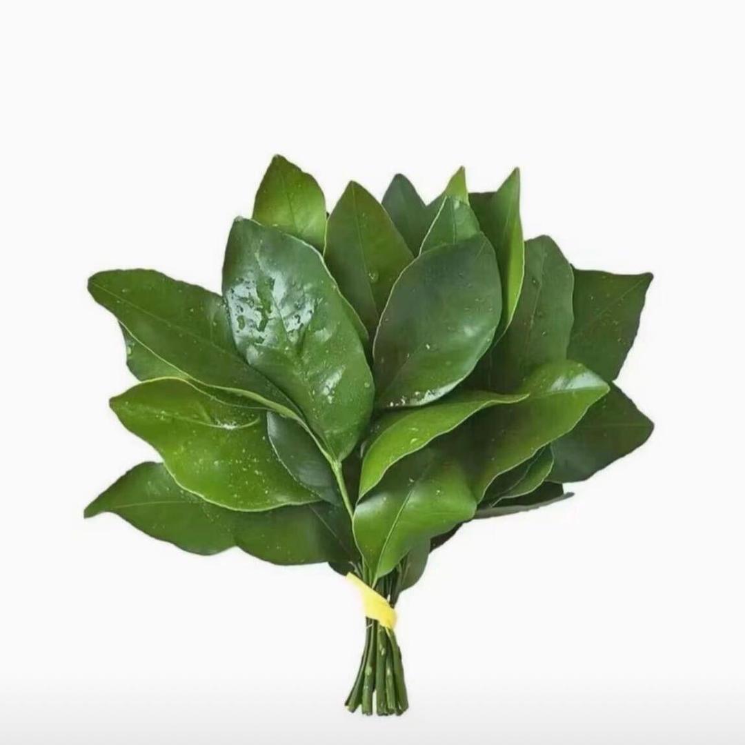 白白