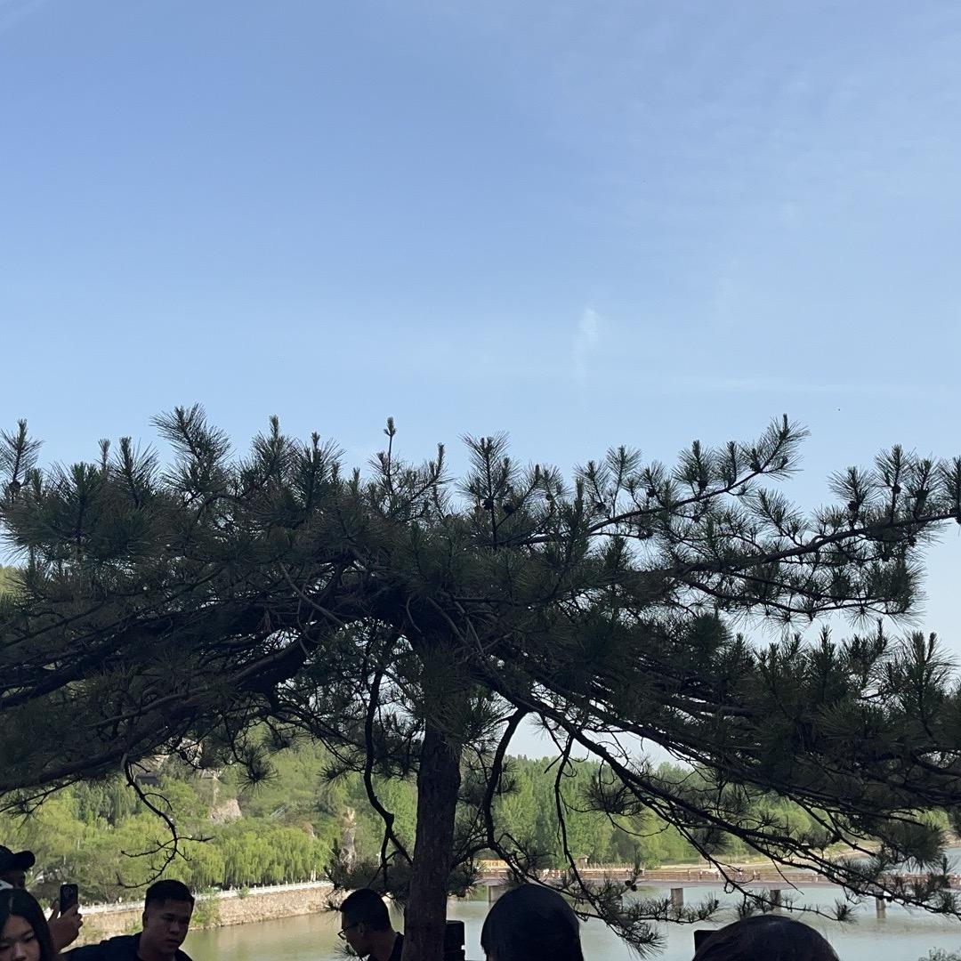 劳动的成果