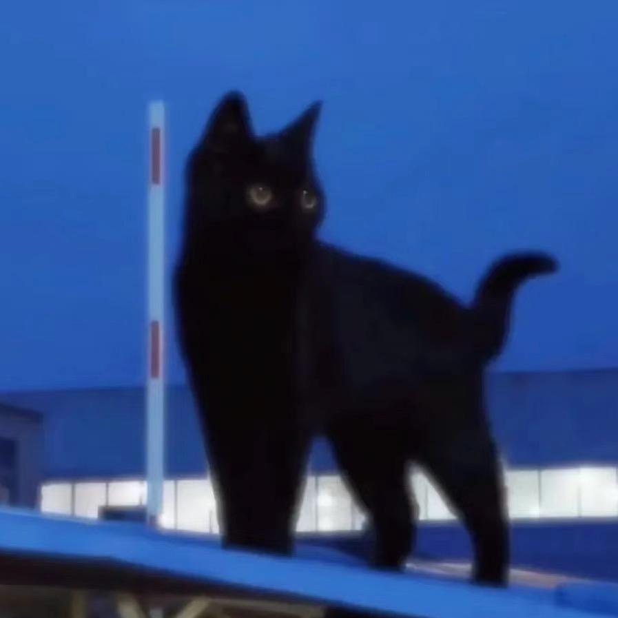 小乔大王🐾