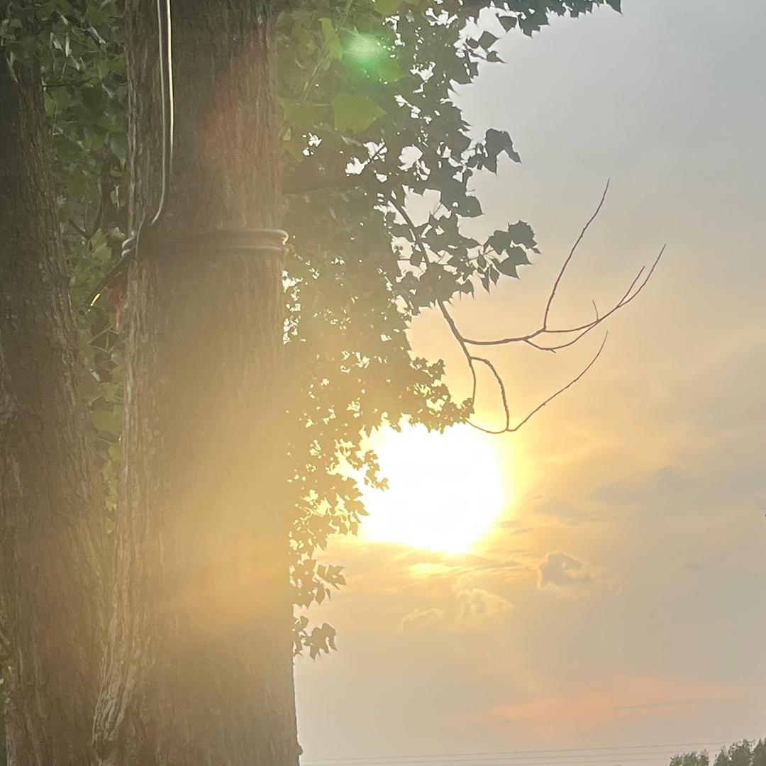 🐰古利古利🐰