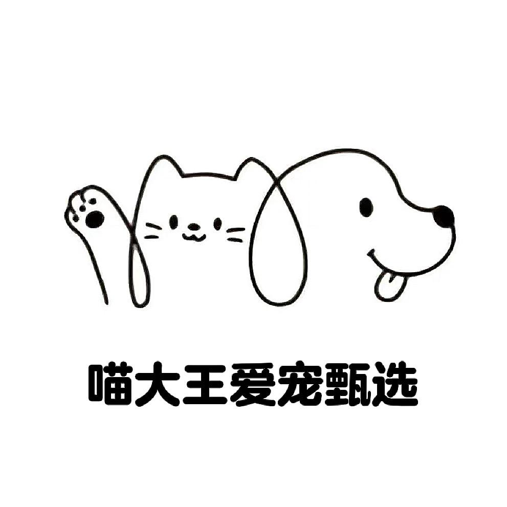 喵大王爱宠甄选