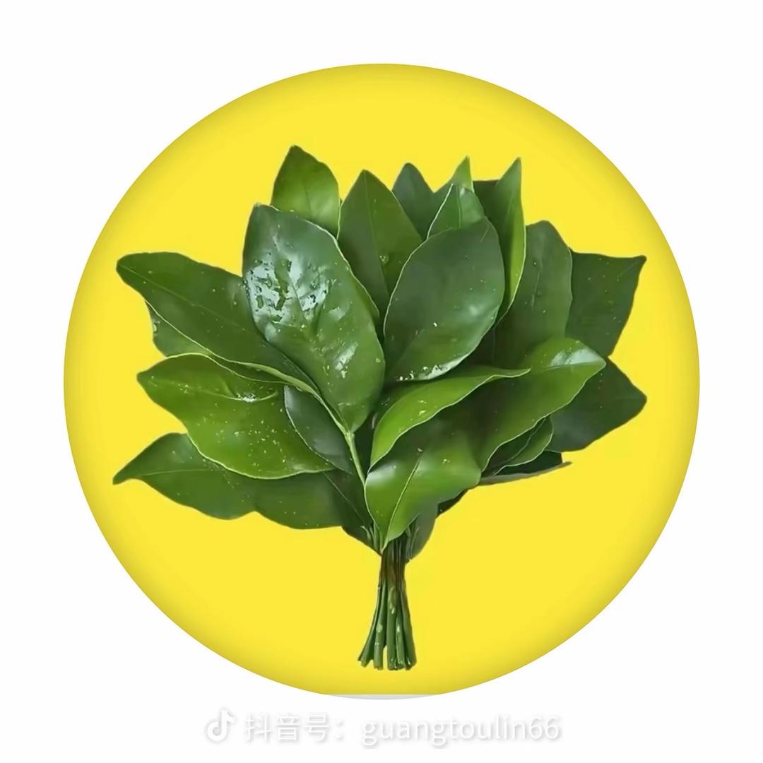 小幸运🍀