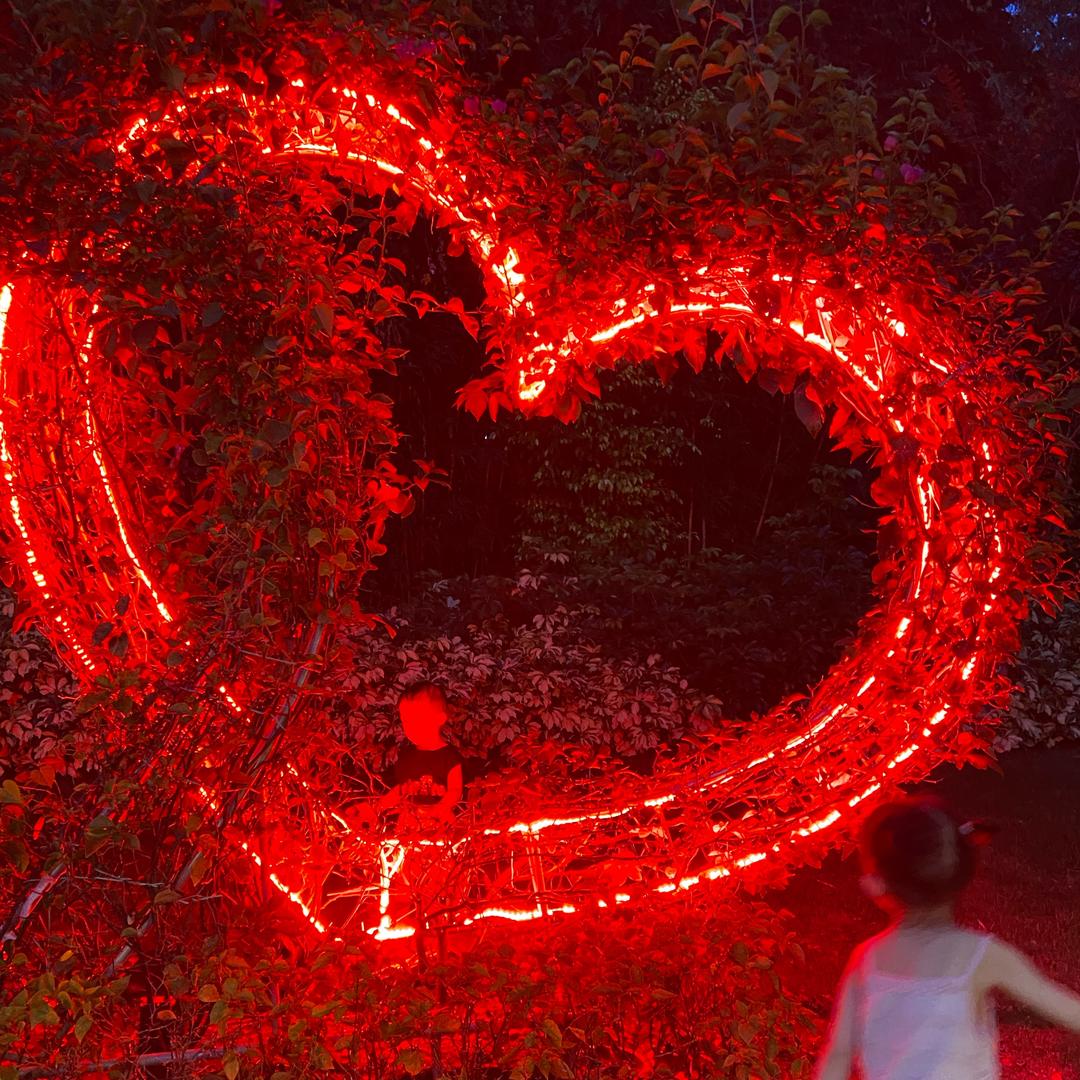 苹果数码-ID戴维斯