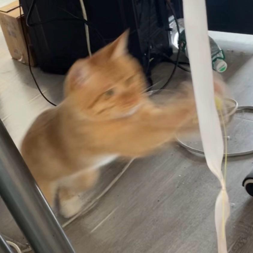 @⃝꙰⃝꙰⃝꙰⃝꙰⃝꙰⃝꙰⃝꙰⃝꙰⃝꙰