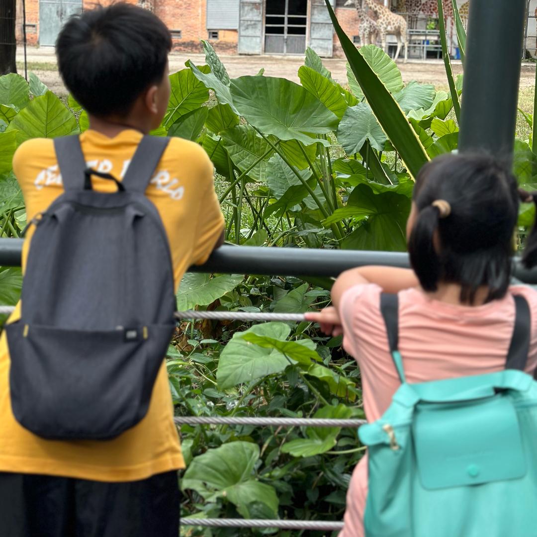 ෆ 一口一杯 🍰•ᴗ•果粒辰