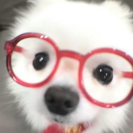 琳琳