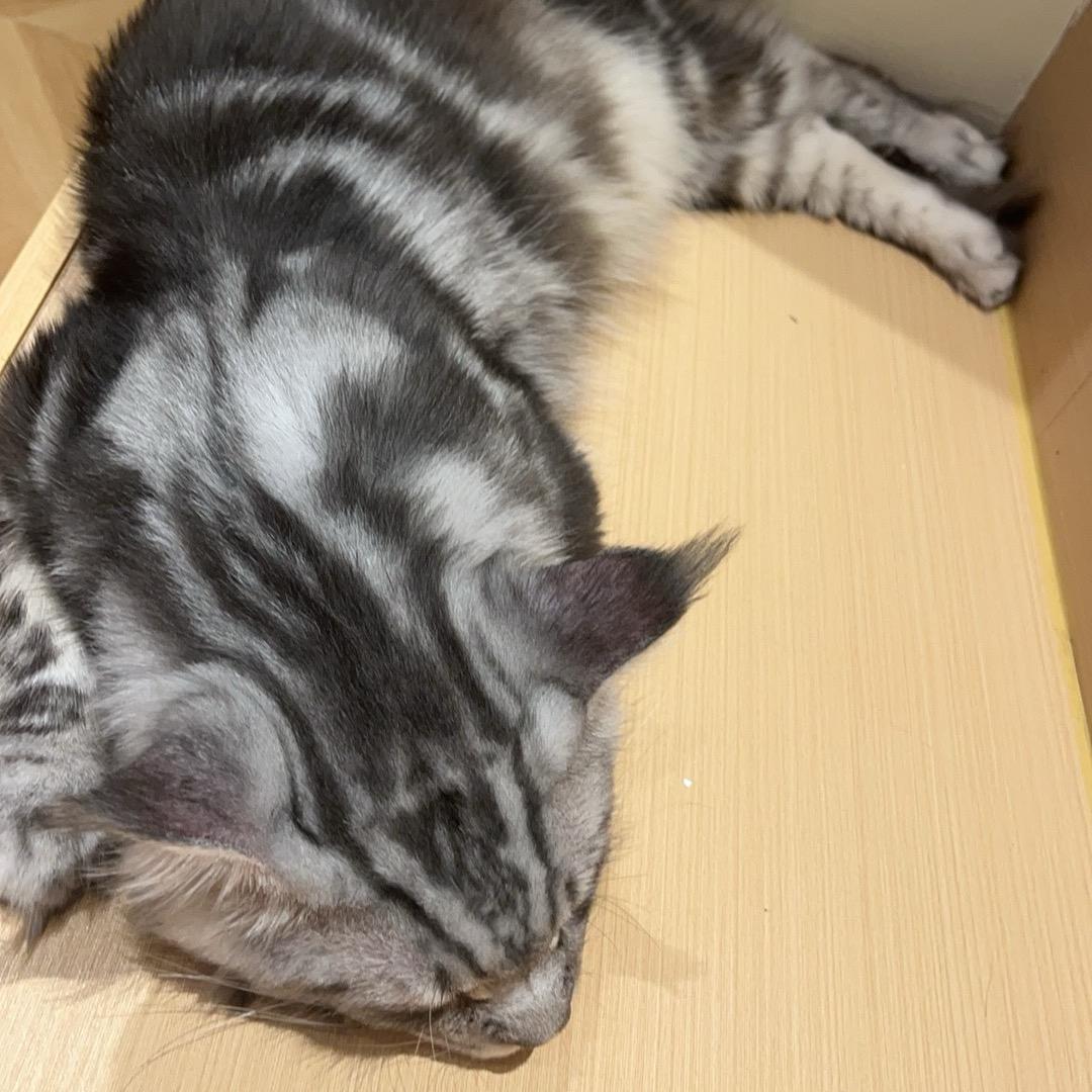 返乡原始人