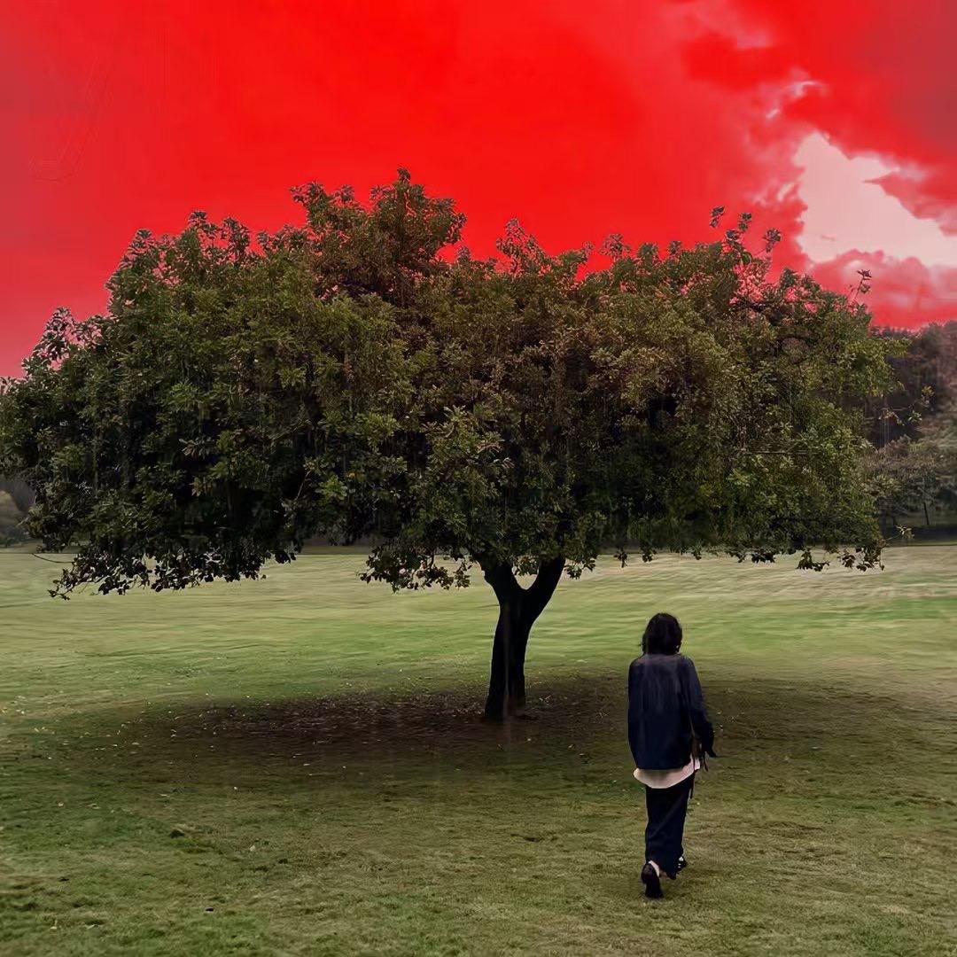 是川🎧