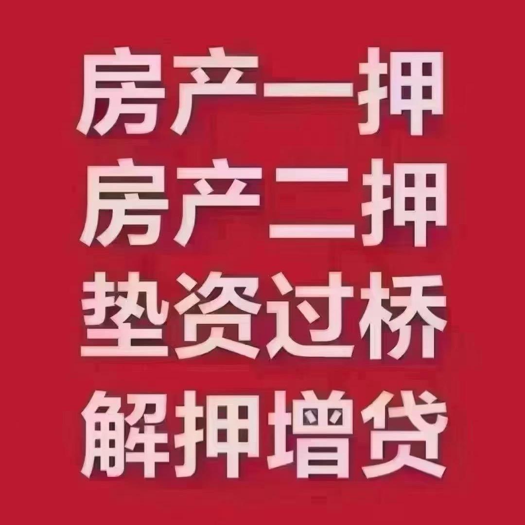 💰亿 昂 杨💰