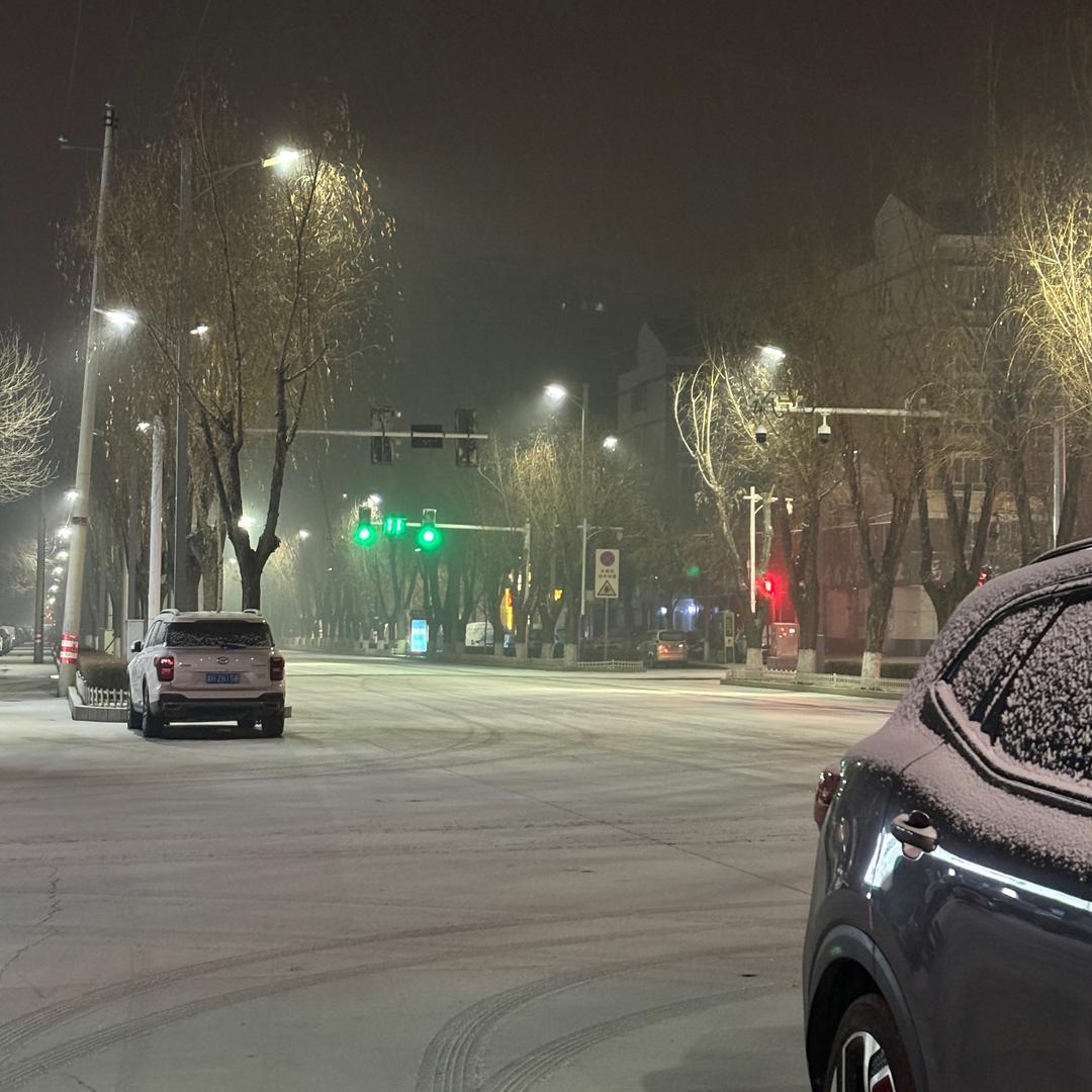 春回大地，李树春