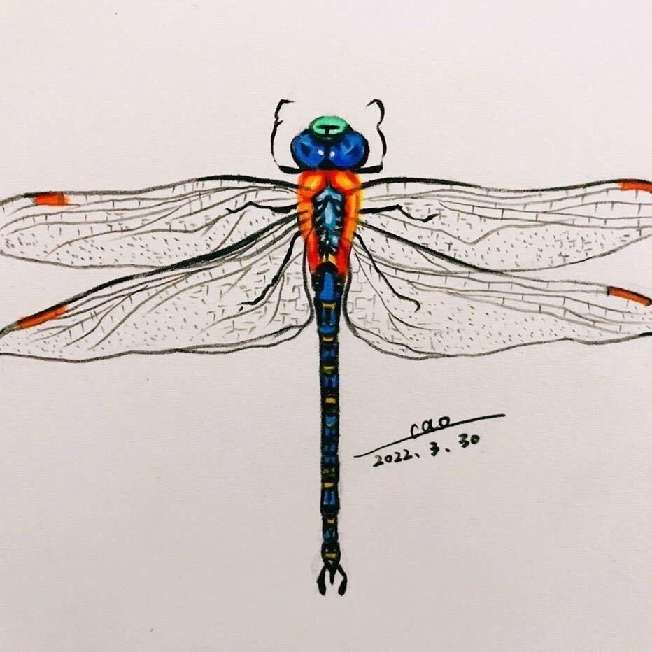 一季花开🌷🦋
