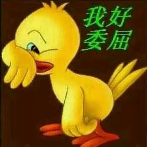 主人.