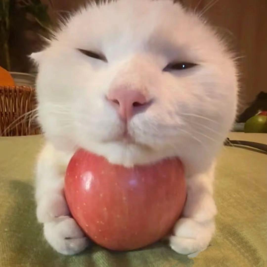 kaiX