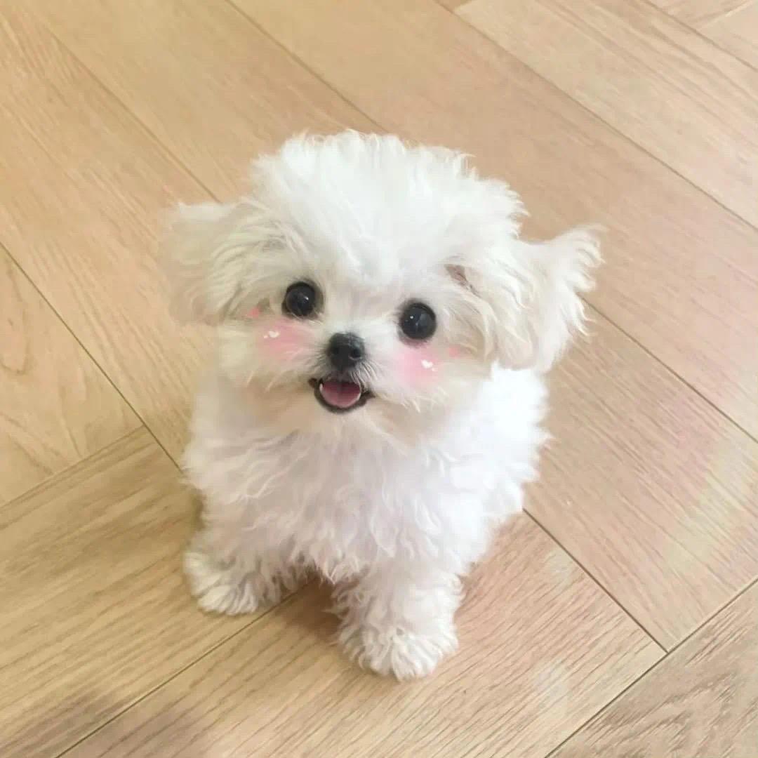 宝藏@