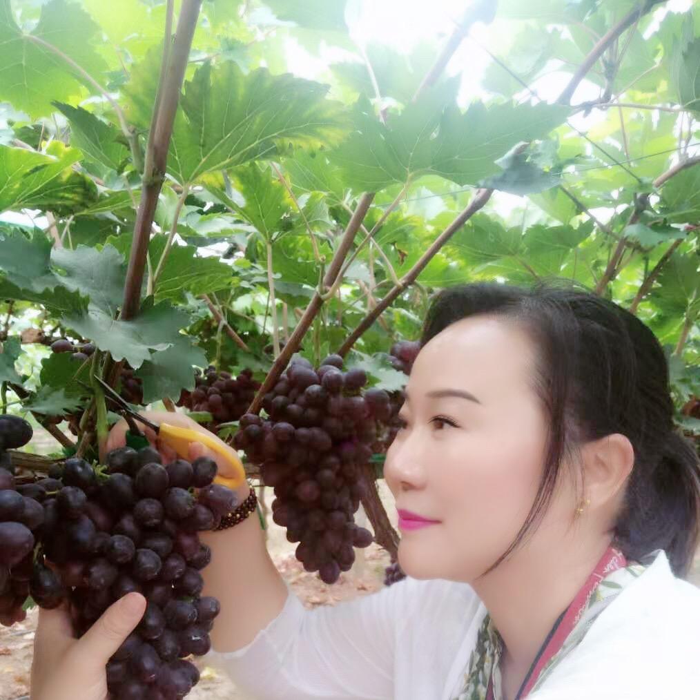 小梅95433