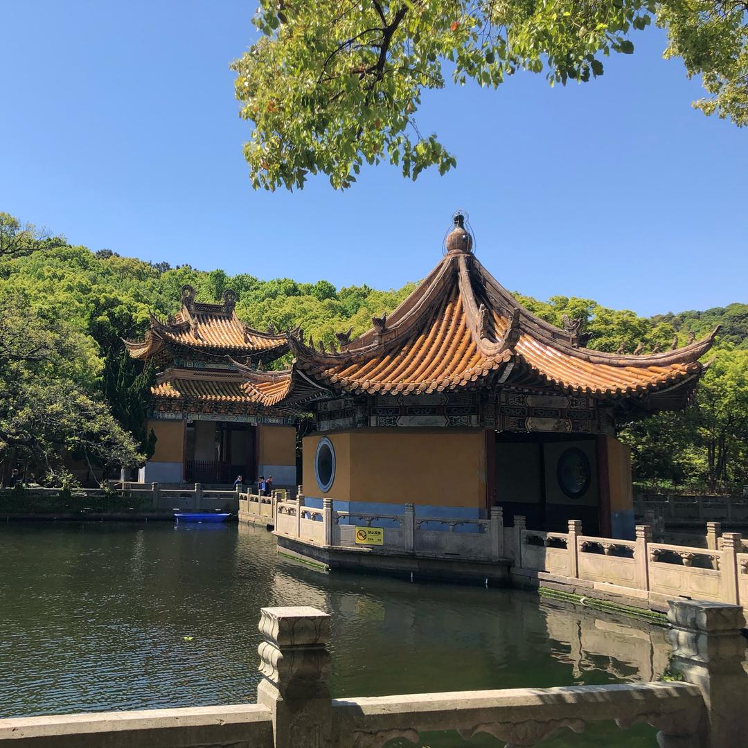 章显自我