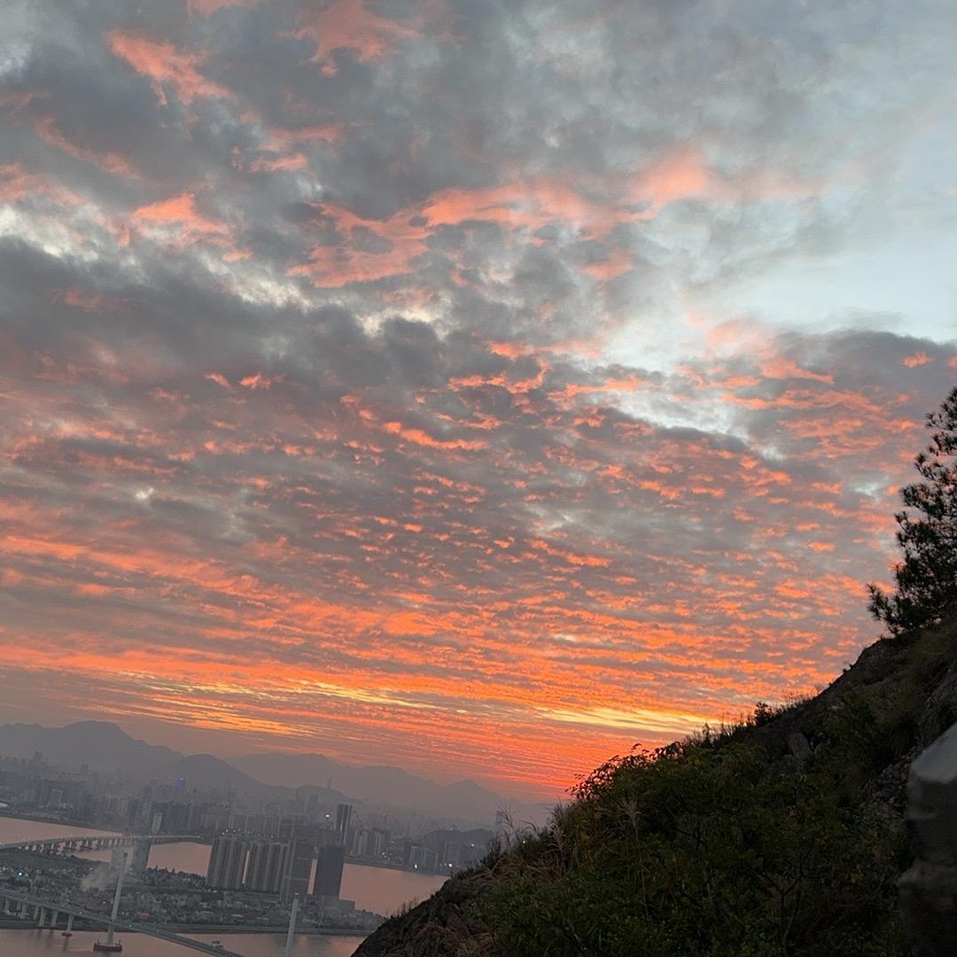 请叫我小趴菜