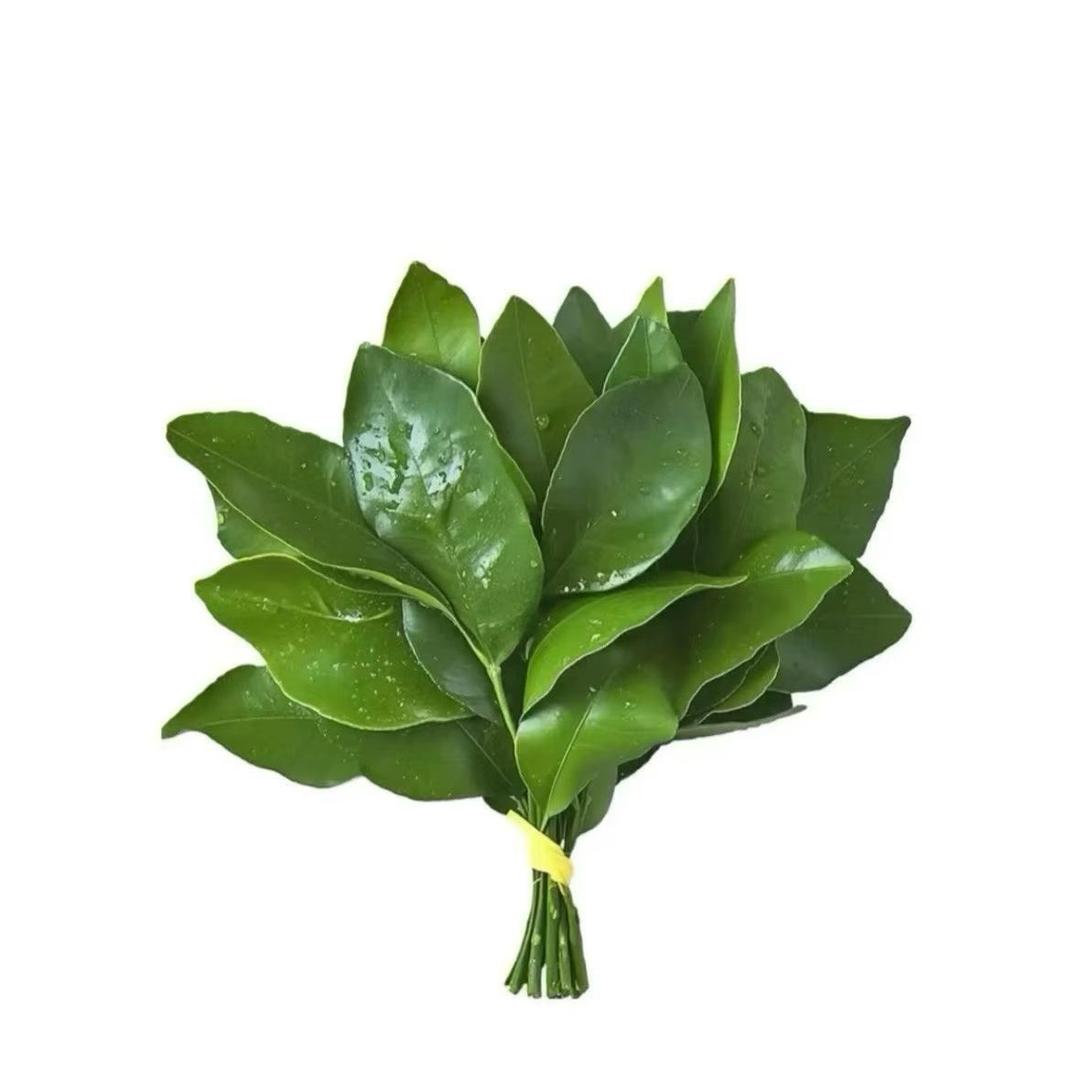 阿龙的小助理