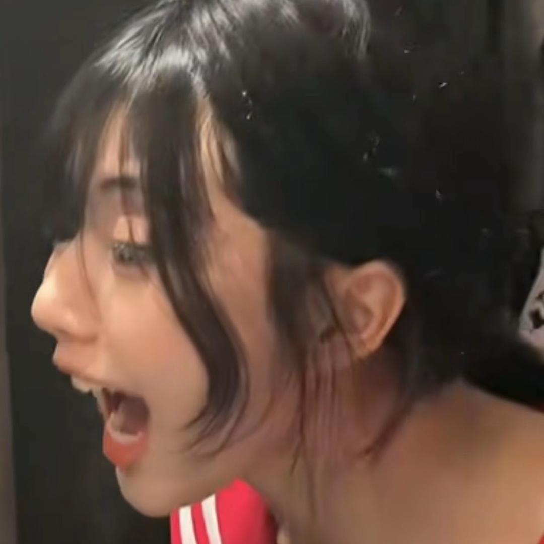 鼠条鼠条