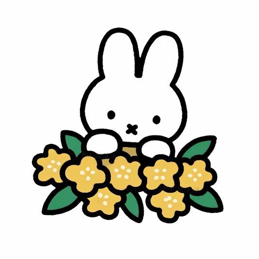 幸运草🍀