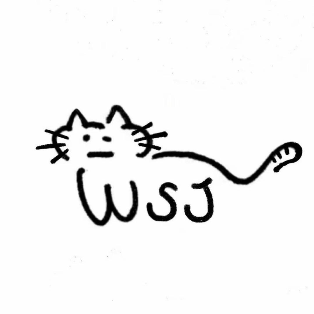 岁岁( •︠ˍ•︡ )
