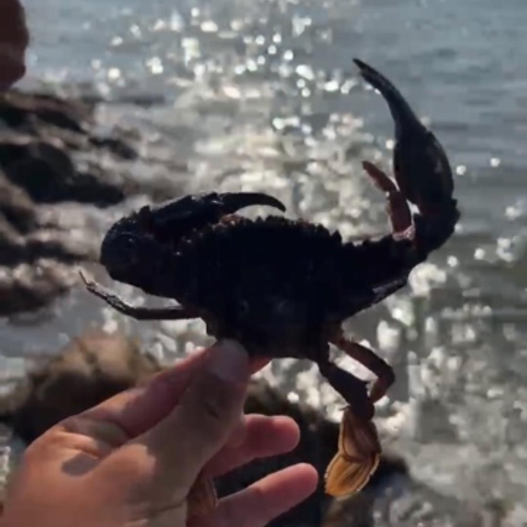 小城赶海（出售赶夜海水下灯）