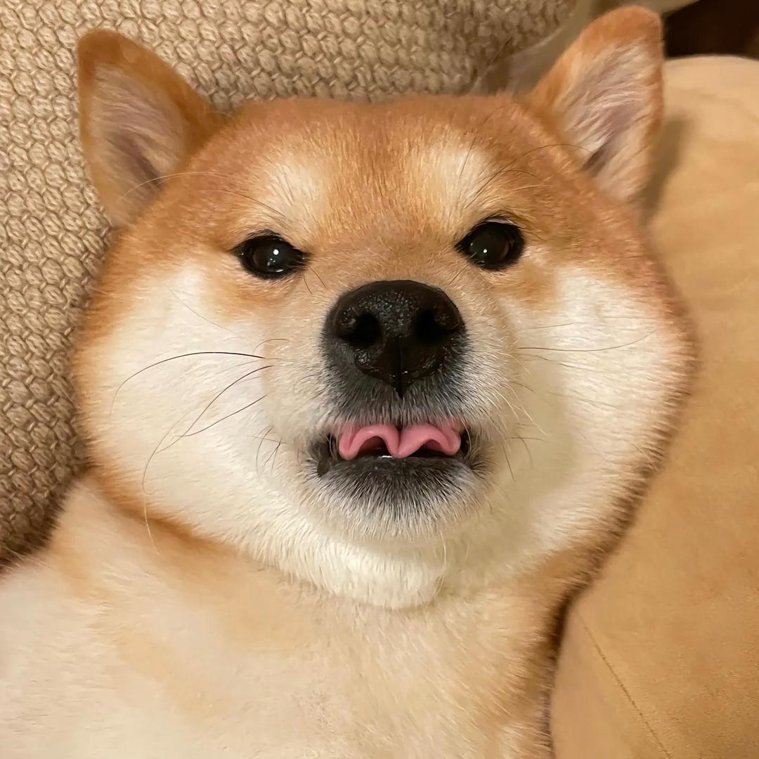 周周.