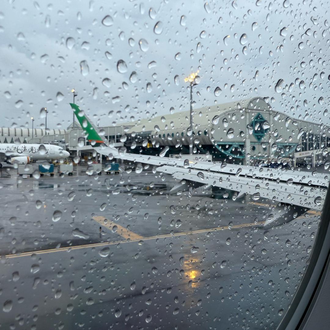 隨便活著隨便快樂