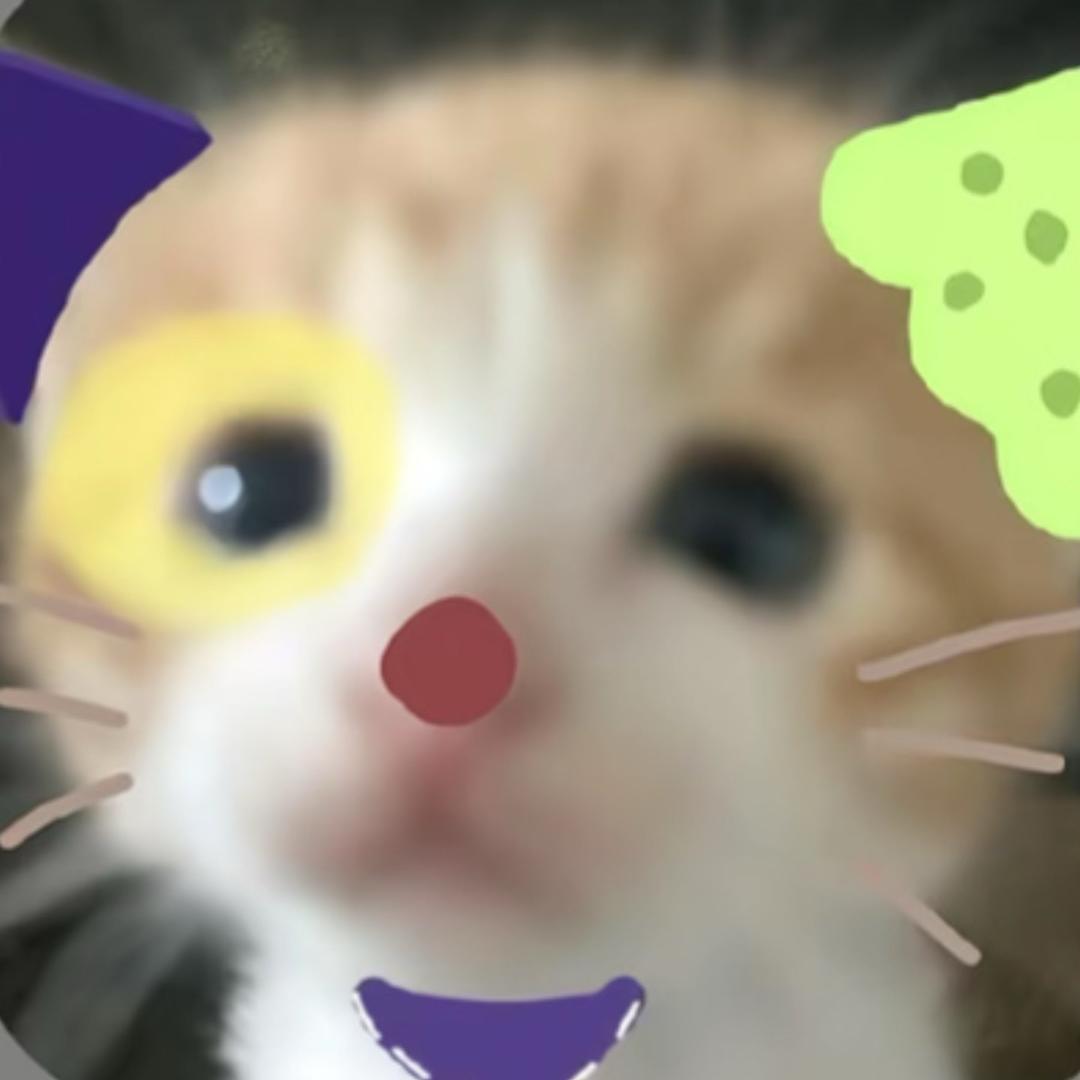 瞬i.