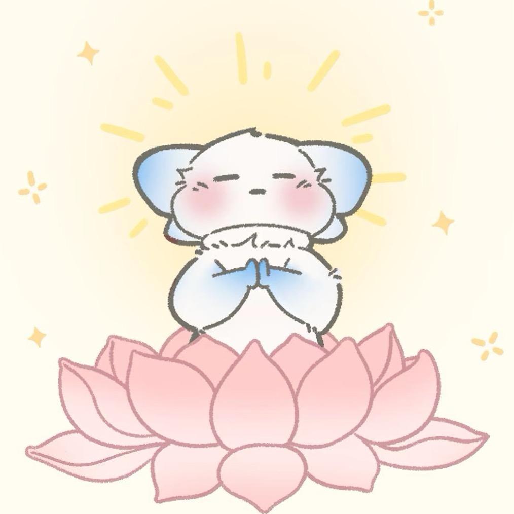 淇淇