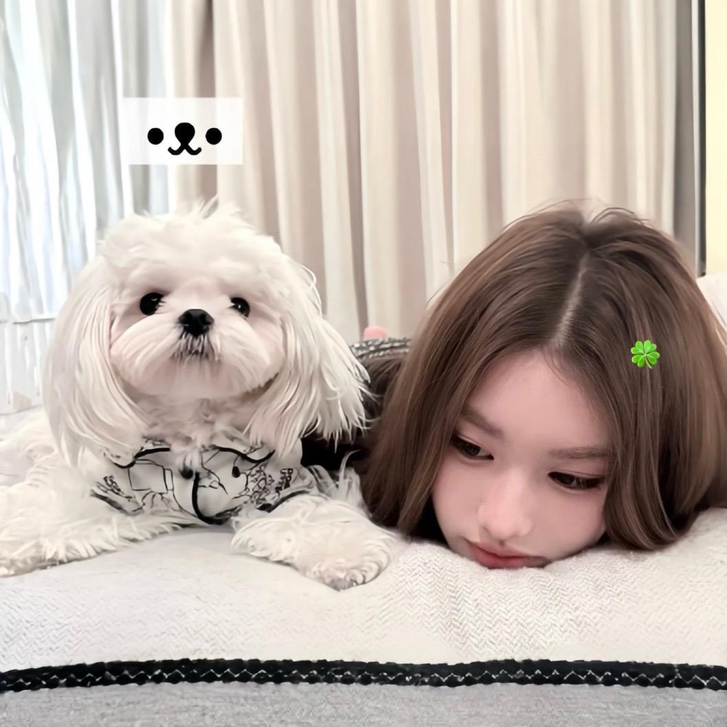 卷我猫呢