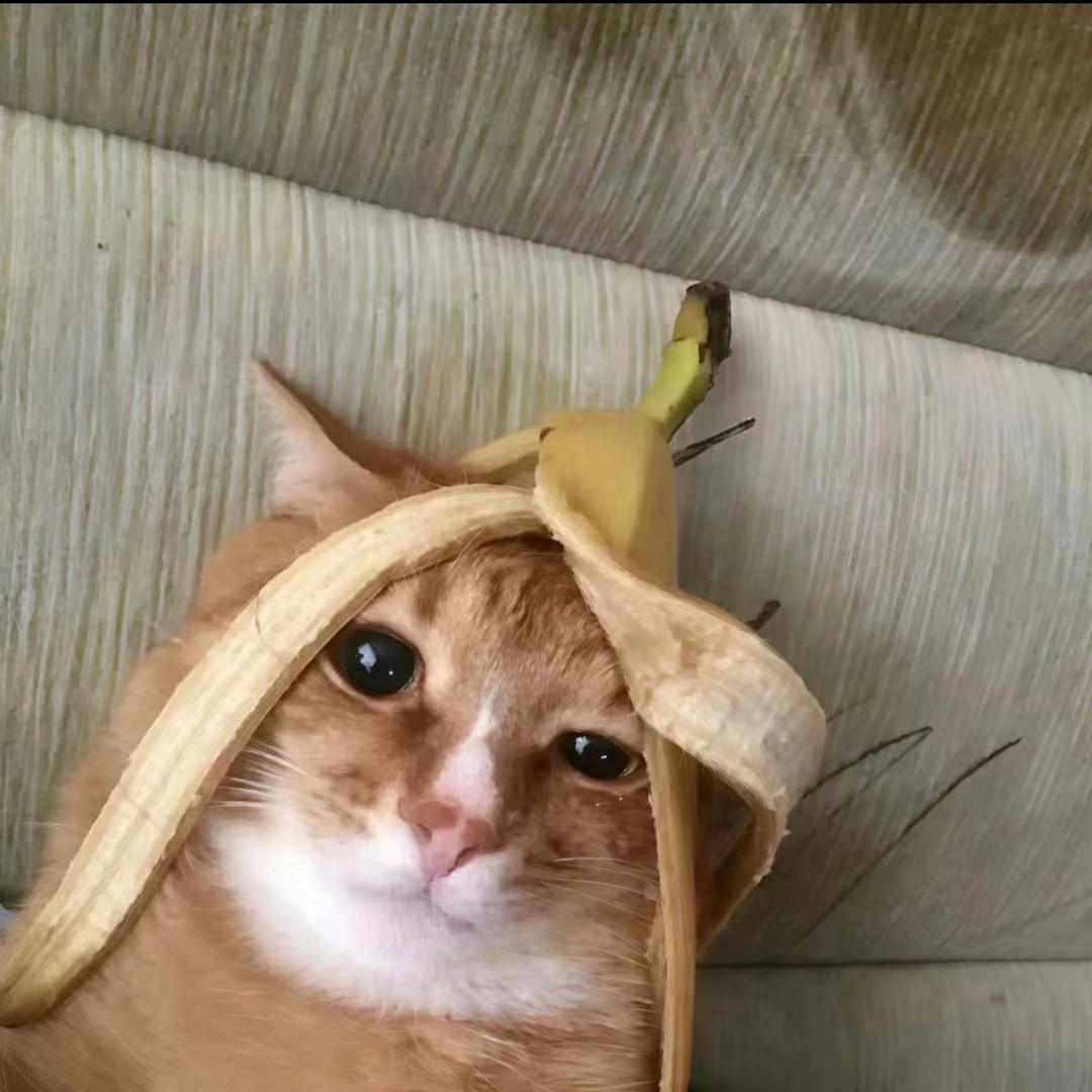 杨云峥