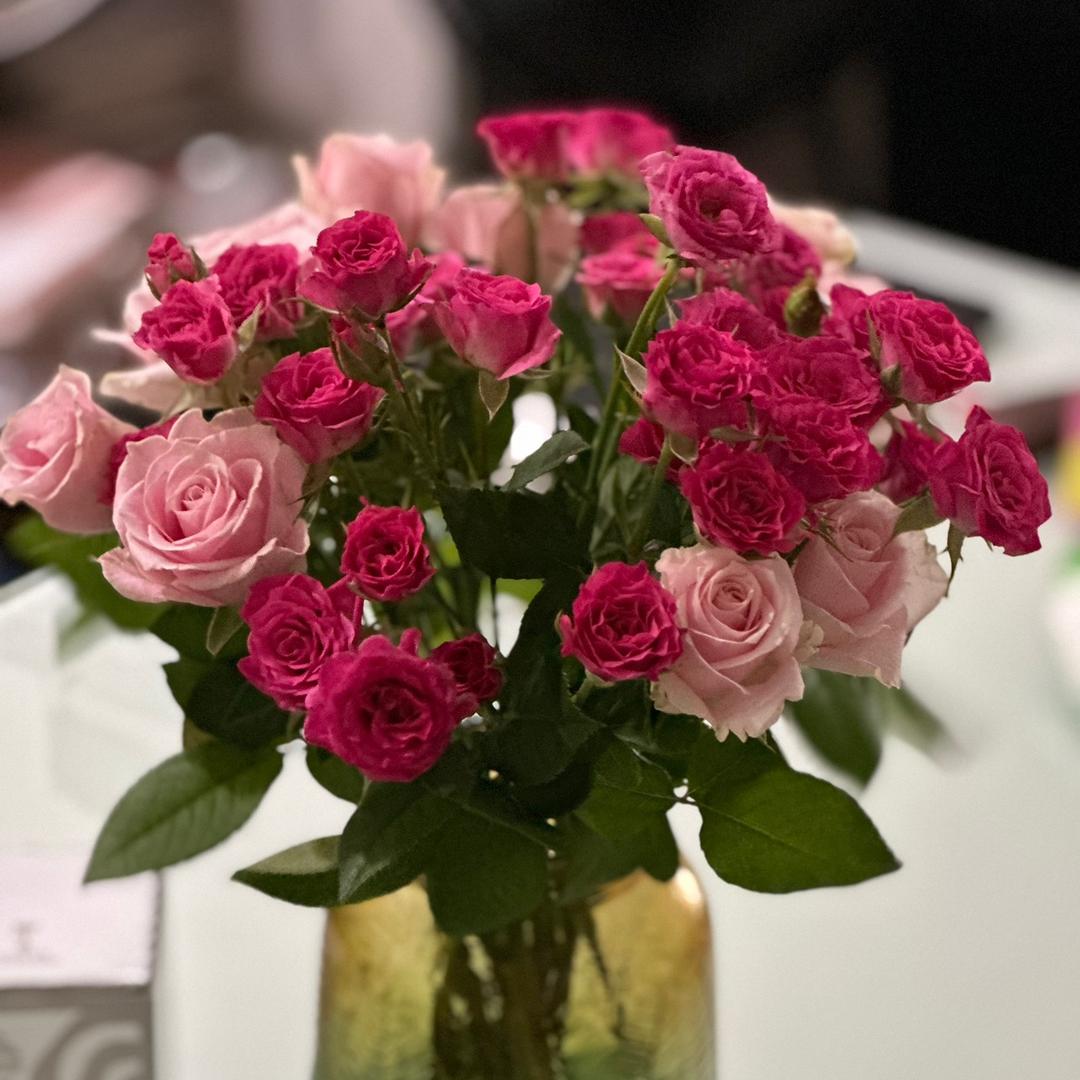 爱摸鱼的中年少女