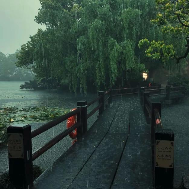 大宝