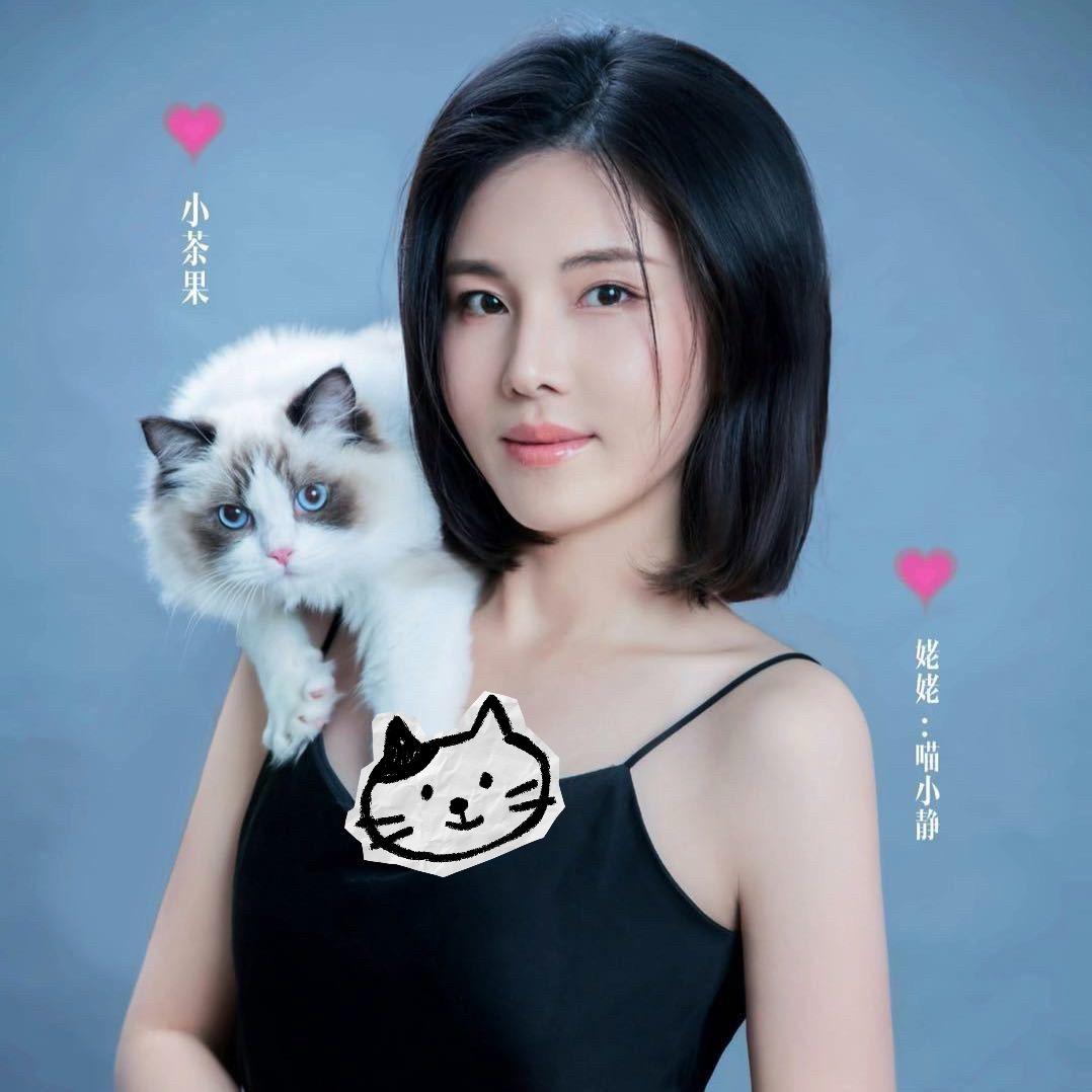 喵小静和布小偶