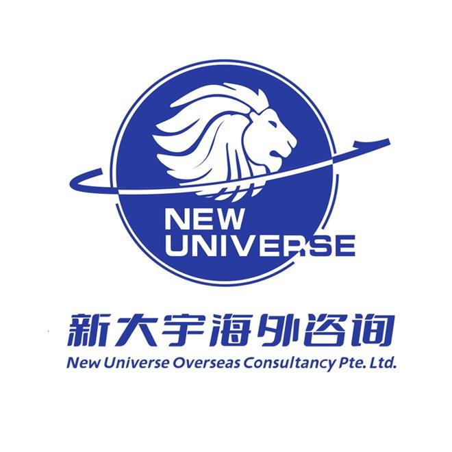 新大宇海外咨询