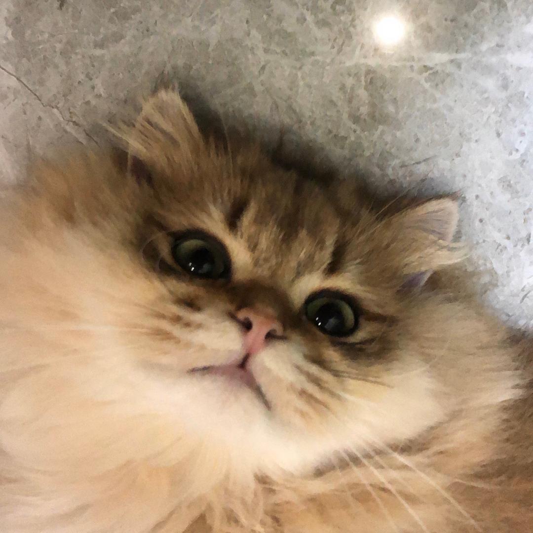 脚趾缝里面扣出李钰洁