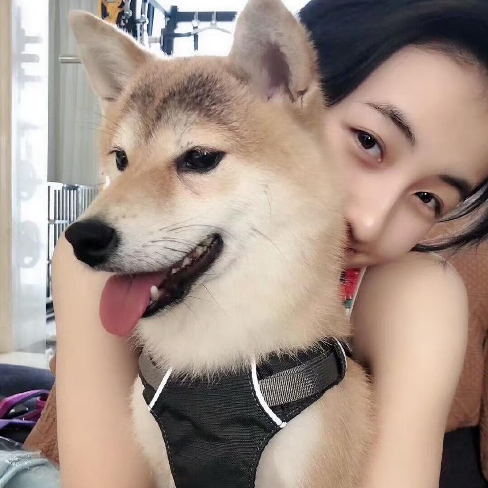 🐶🥚