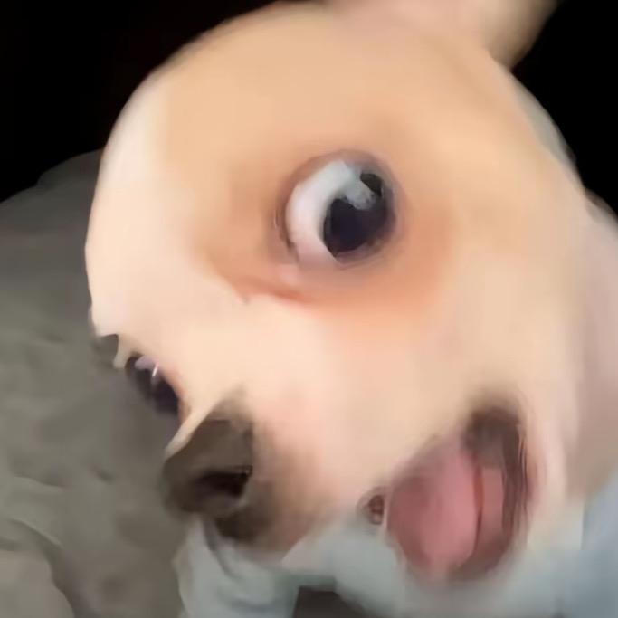晚安