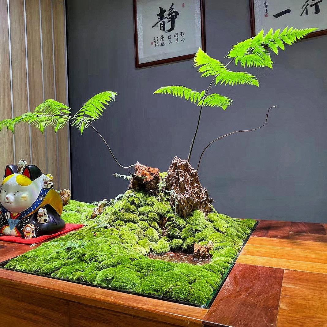 丁小胖的绿洲